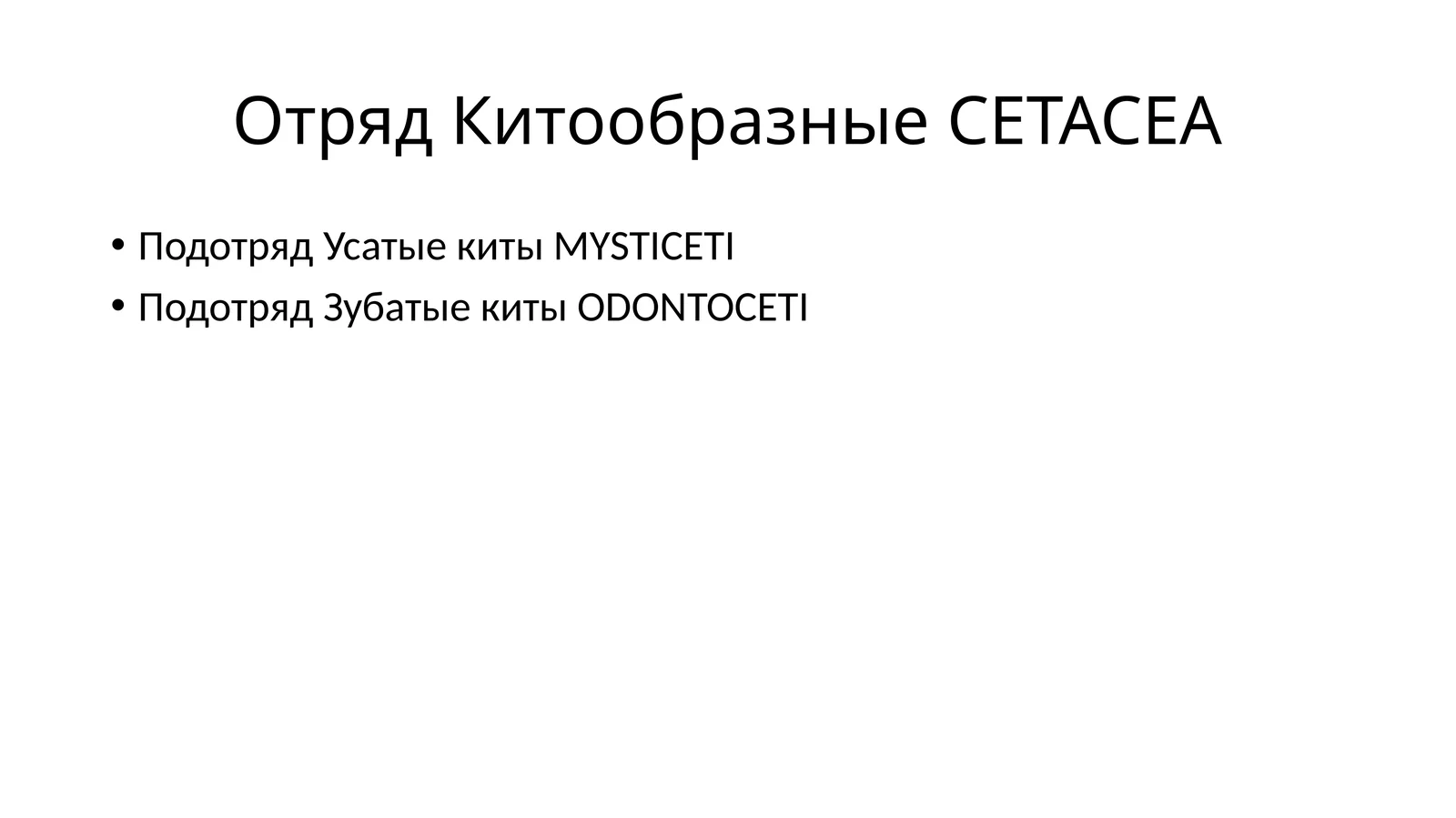 Китообразные CETACEA