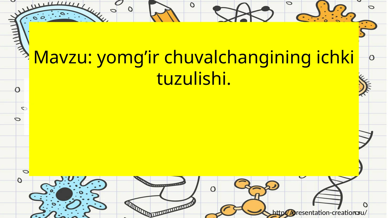 Yomg’ir chuvalchangining ichki tuzish