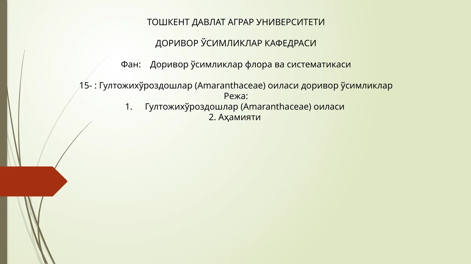 Гултожихўроздошлар (Amaranthaceae) оиласи
