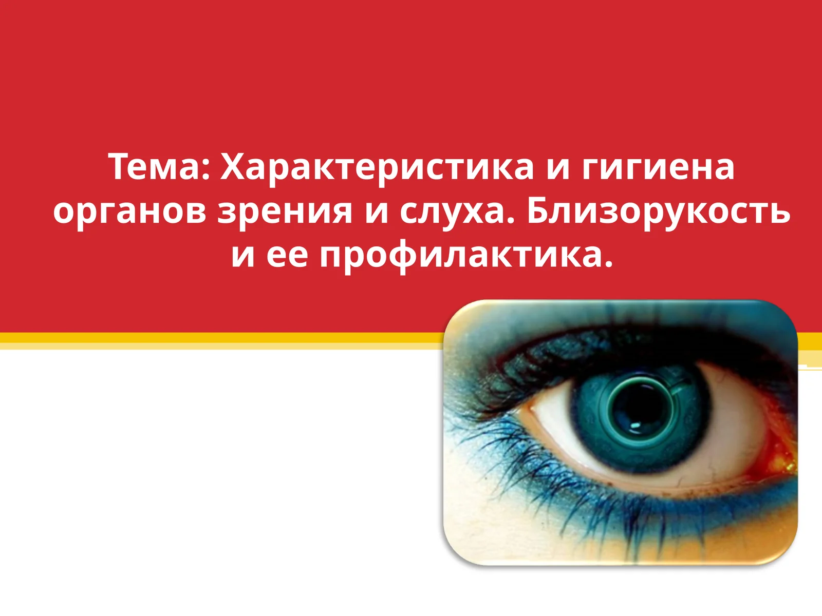 Характеристика и гигиена органов зрения и слуха. Близорукость и ее профилактика.