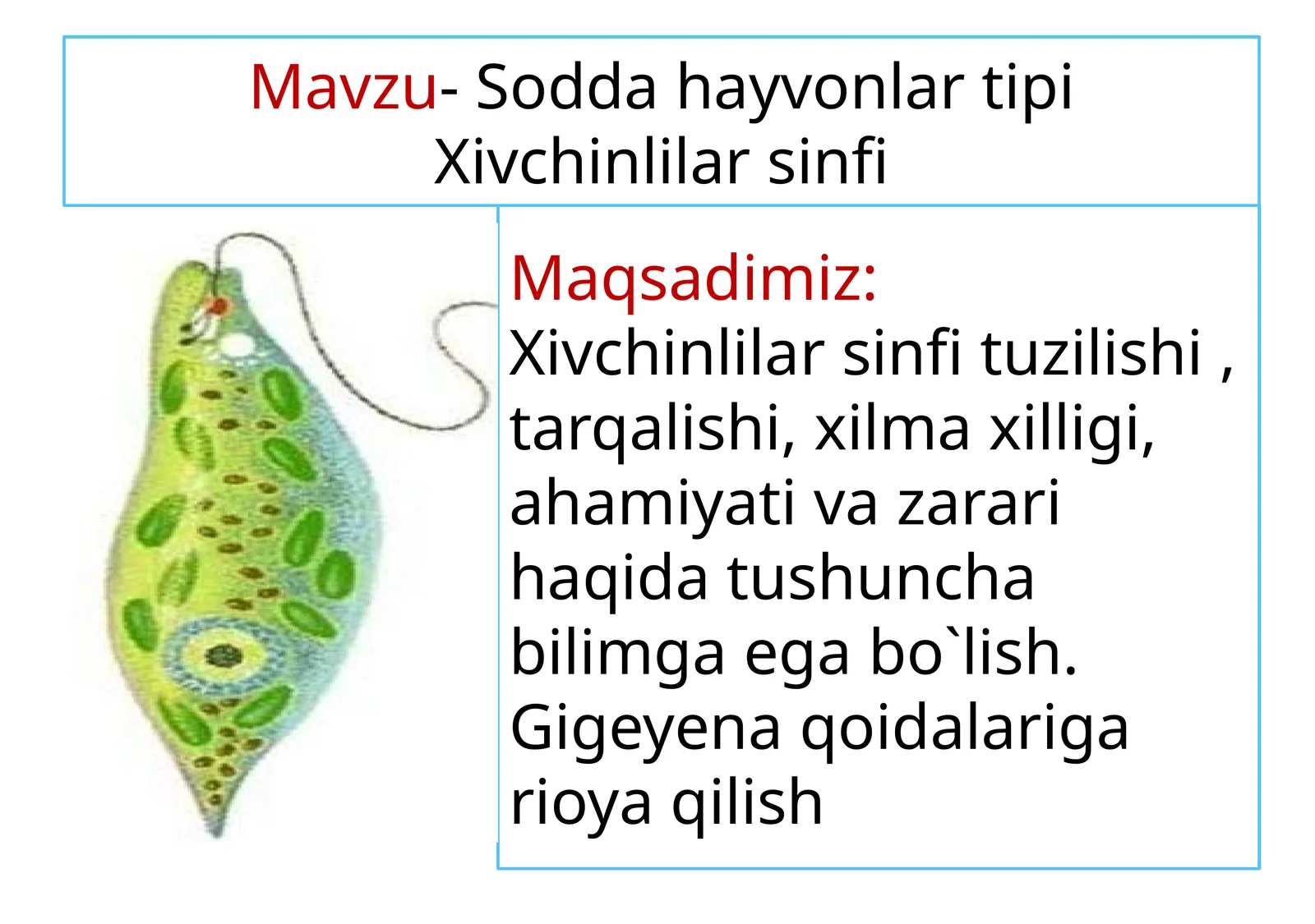 Soddahayvonlar tipi
