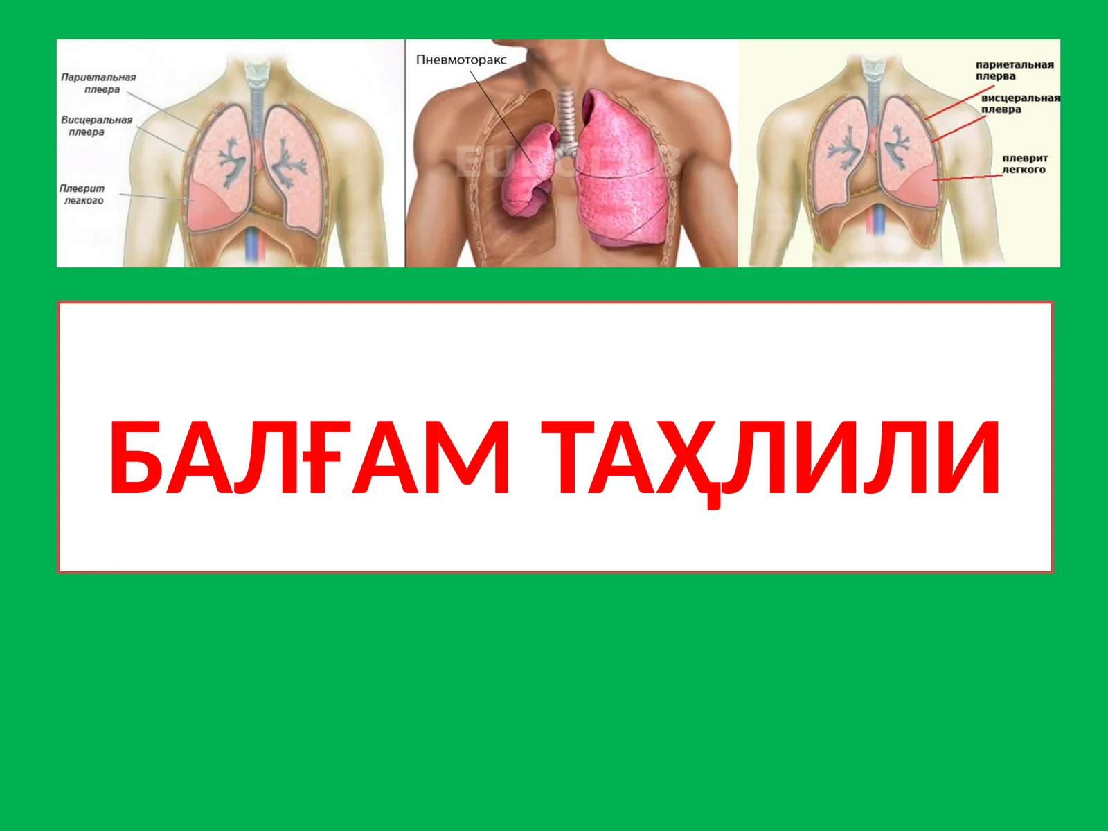 Балғам Таҳлили