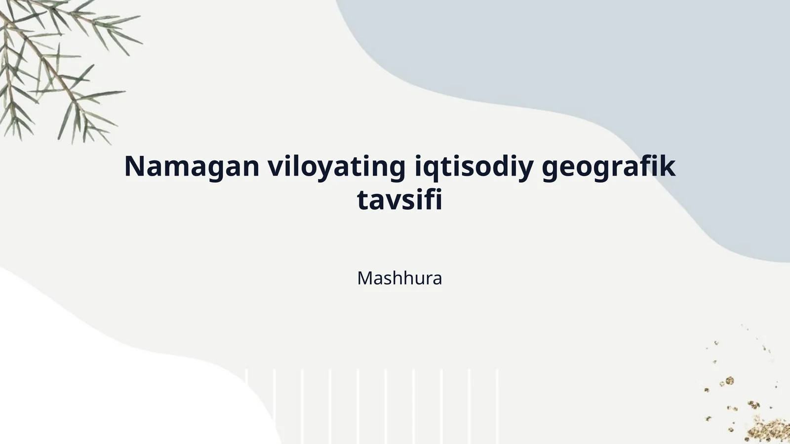 Namagan viloyating iqtisodiy geografik tavsifi