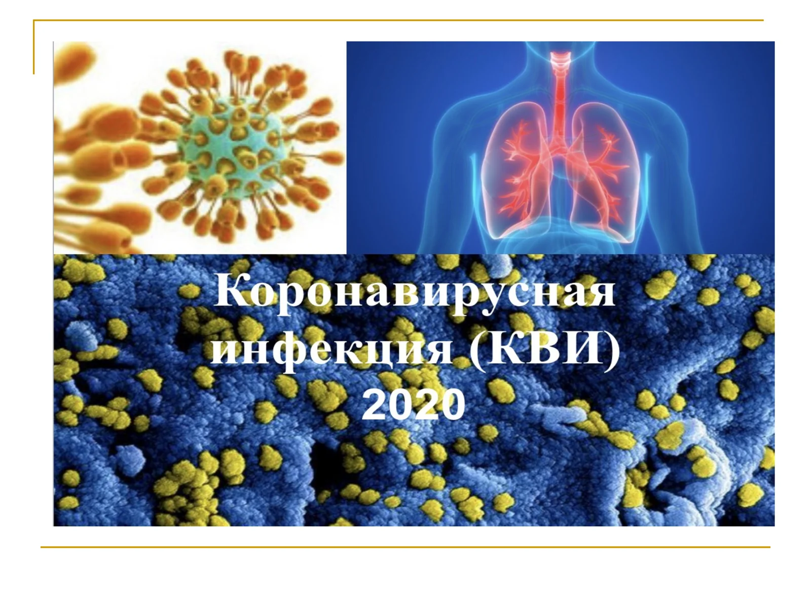 Koronavirus