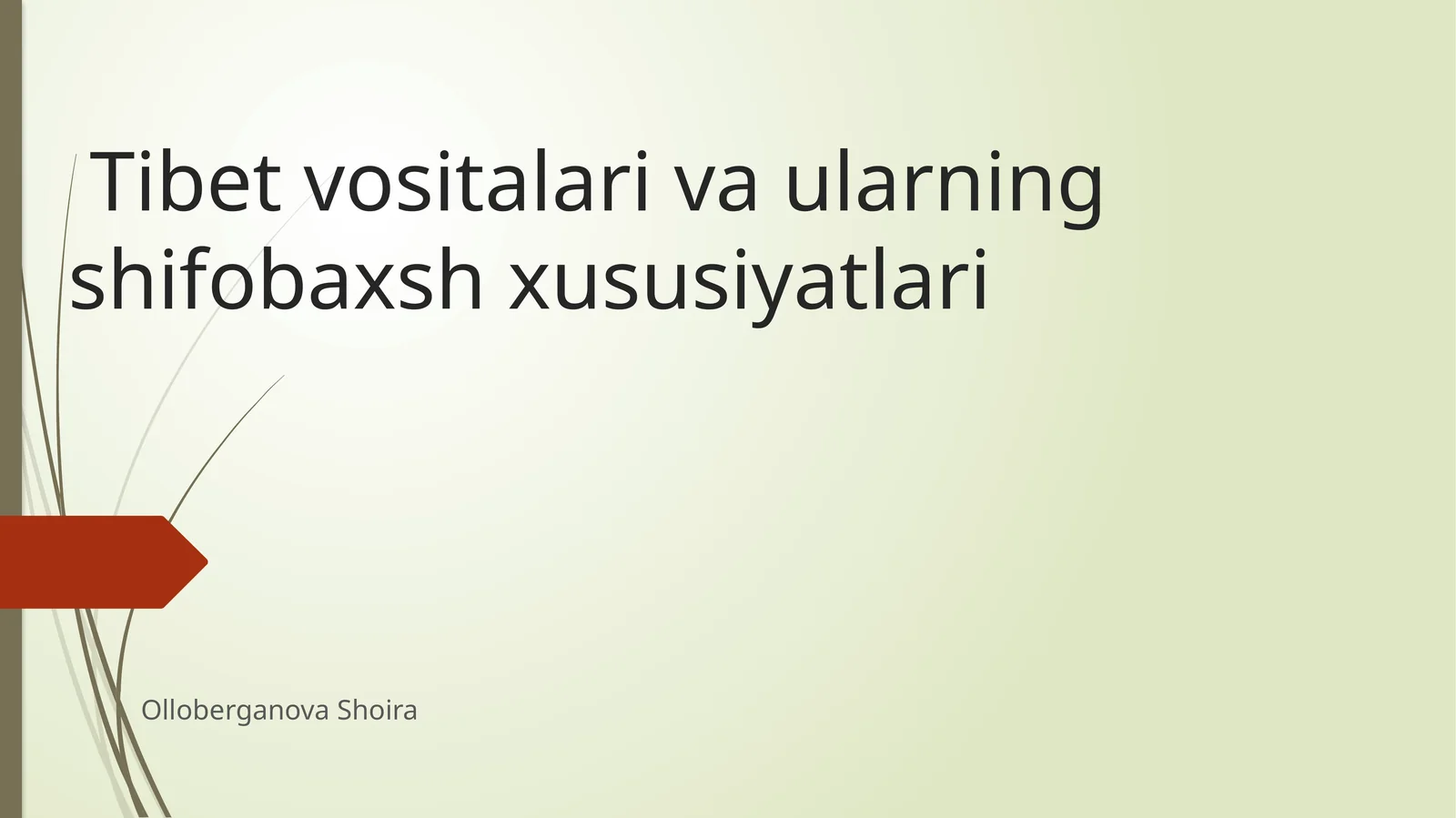 Tibet vositalari va ularning shifobaxsh xususiyatlari