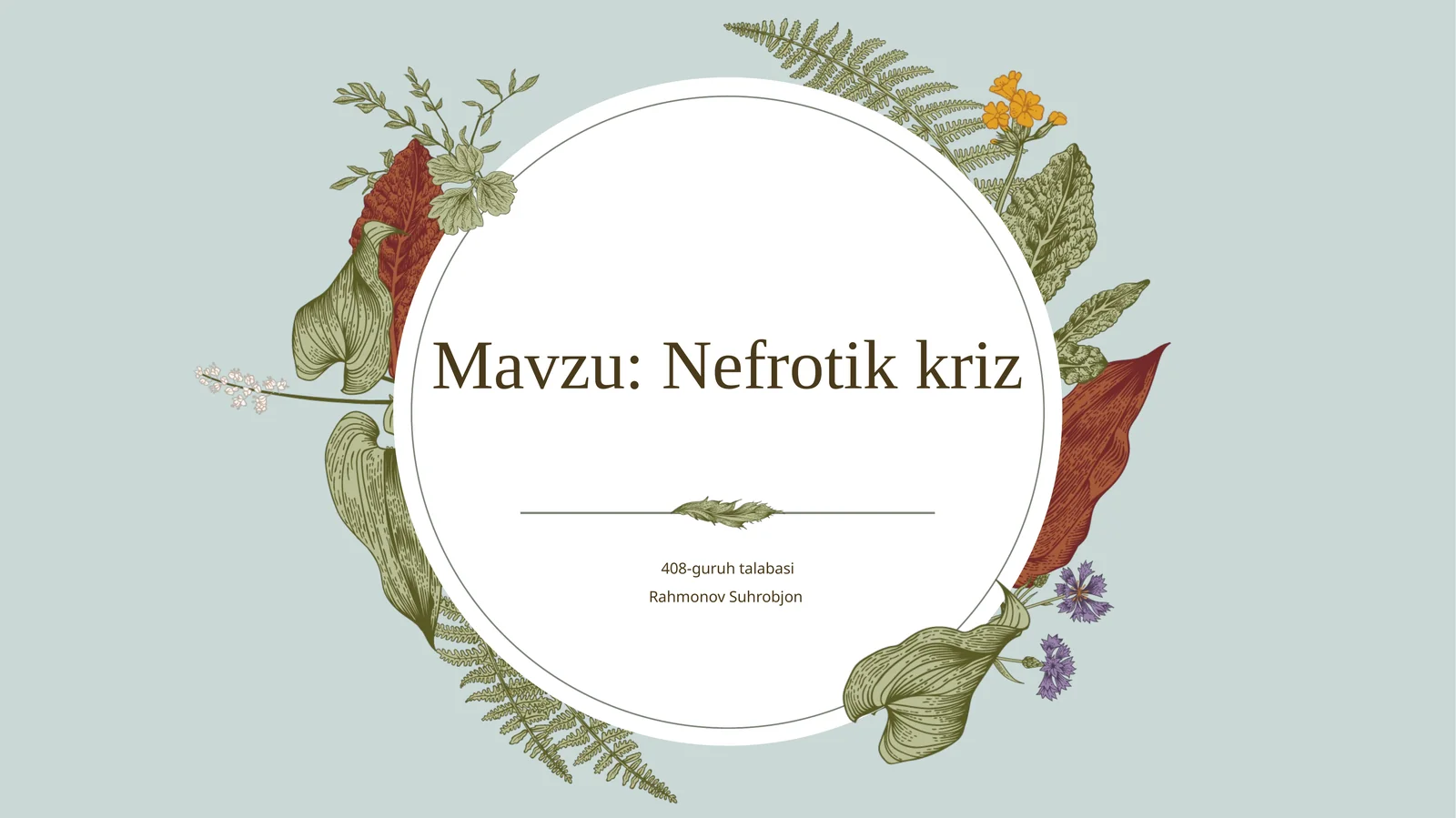 Nefrotikkriz