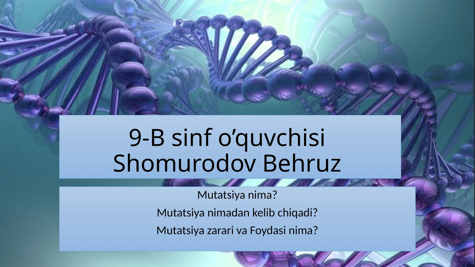 9-Bsinfo’quvchisiShomurodovBehruz