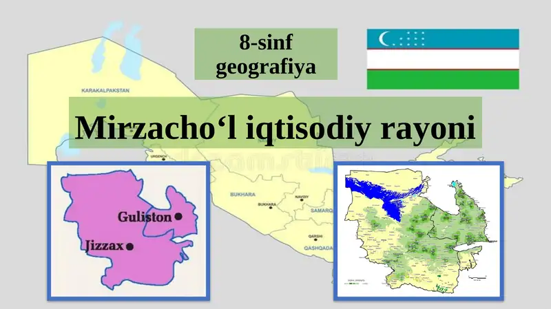 Mirzacho‘li iqtisodiyrayoni