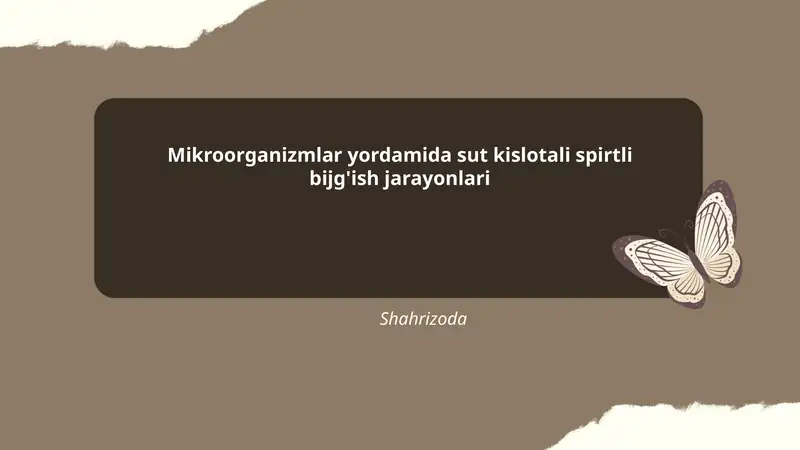 Mikroorganizmlar yordamida sut kislotali spirtli bijg'ish jarayonlari