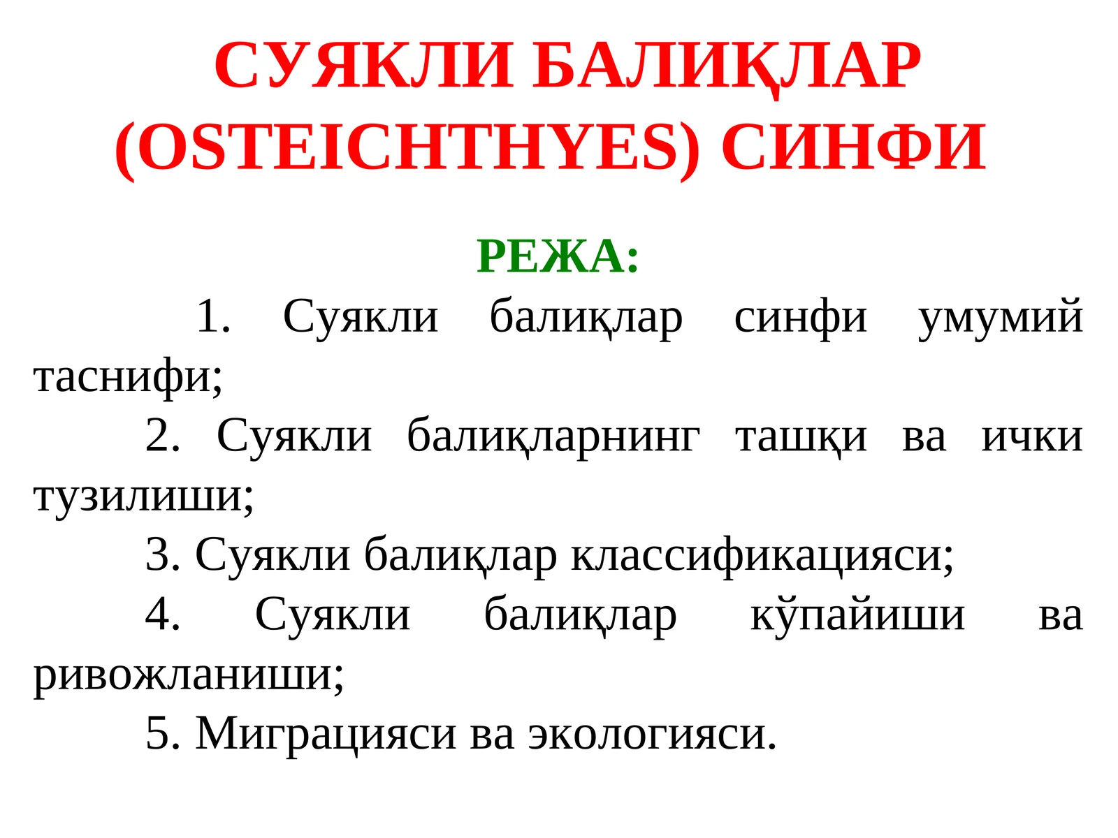Суякли балиқлар (Osteichthyes)синфи