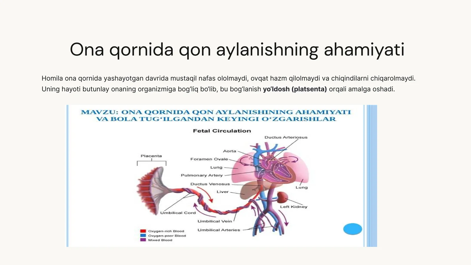 ONA QORNIDA QON AYLANISHINING AHAMIAYTI