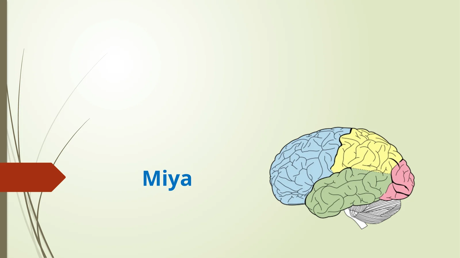 MIYA