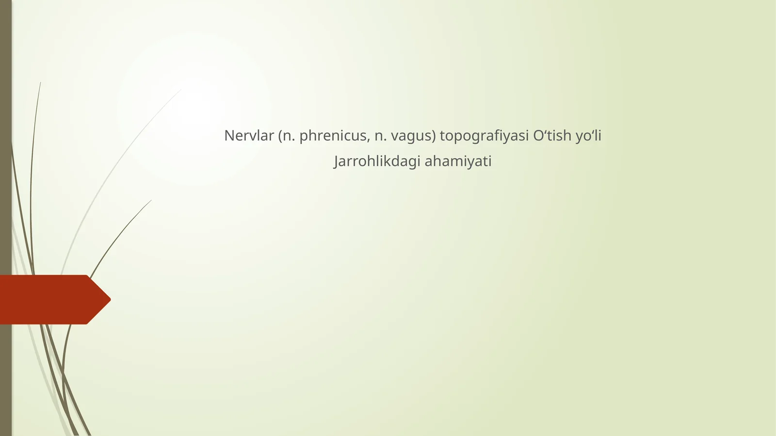 Nervlar(n.phrenicus, n.vagus)topografiyasiO‘tishyo‘li