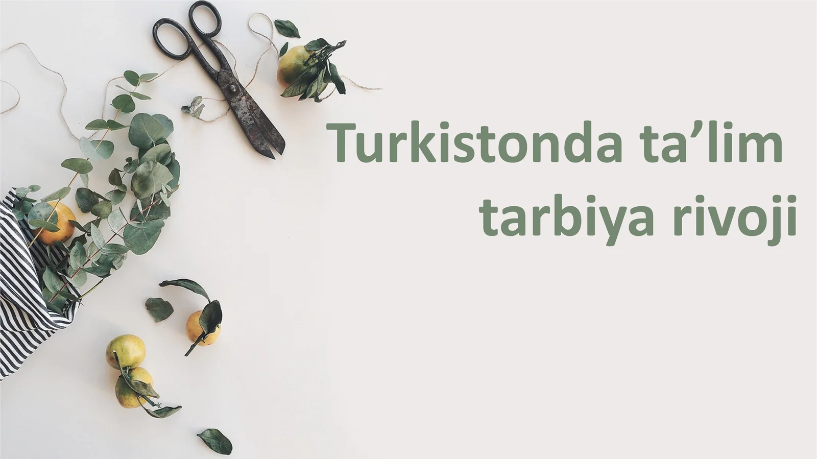 Turkistonda ta’lim  tarbiya rivoji