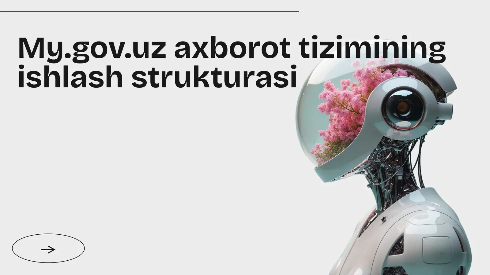 My.gov.uz axborot tizimi