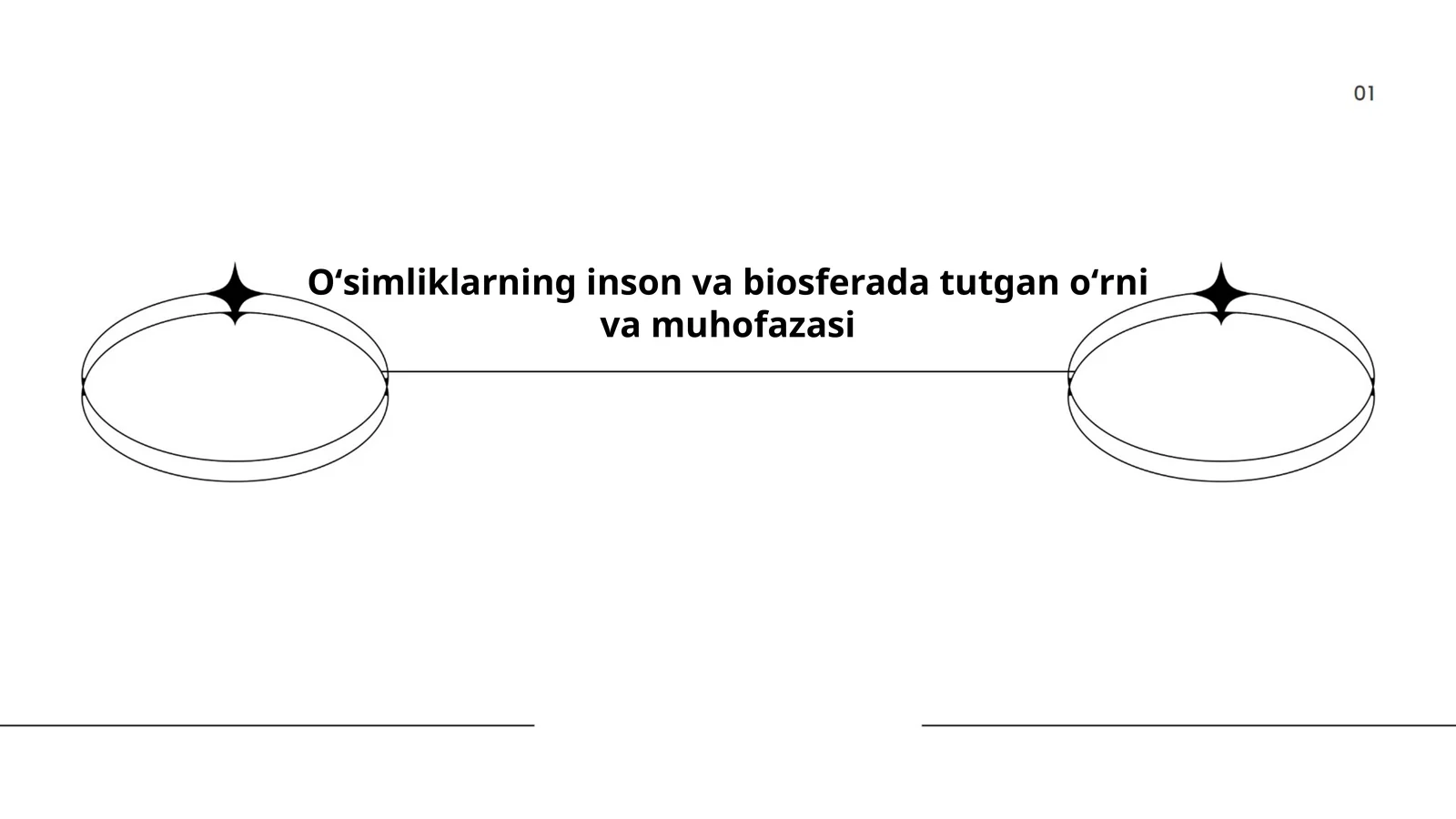 O'simliklarning inson va biosferada tutgan oʻrni va muhofazasi