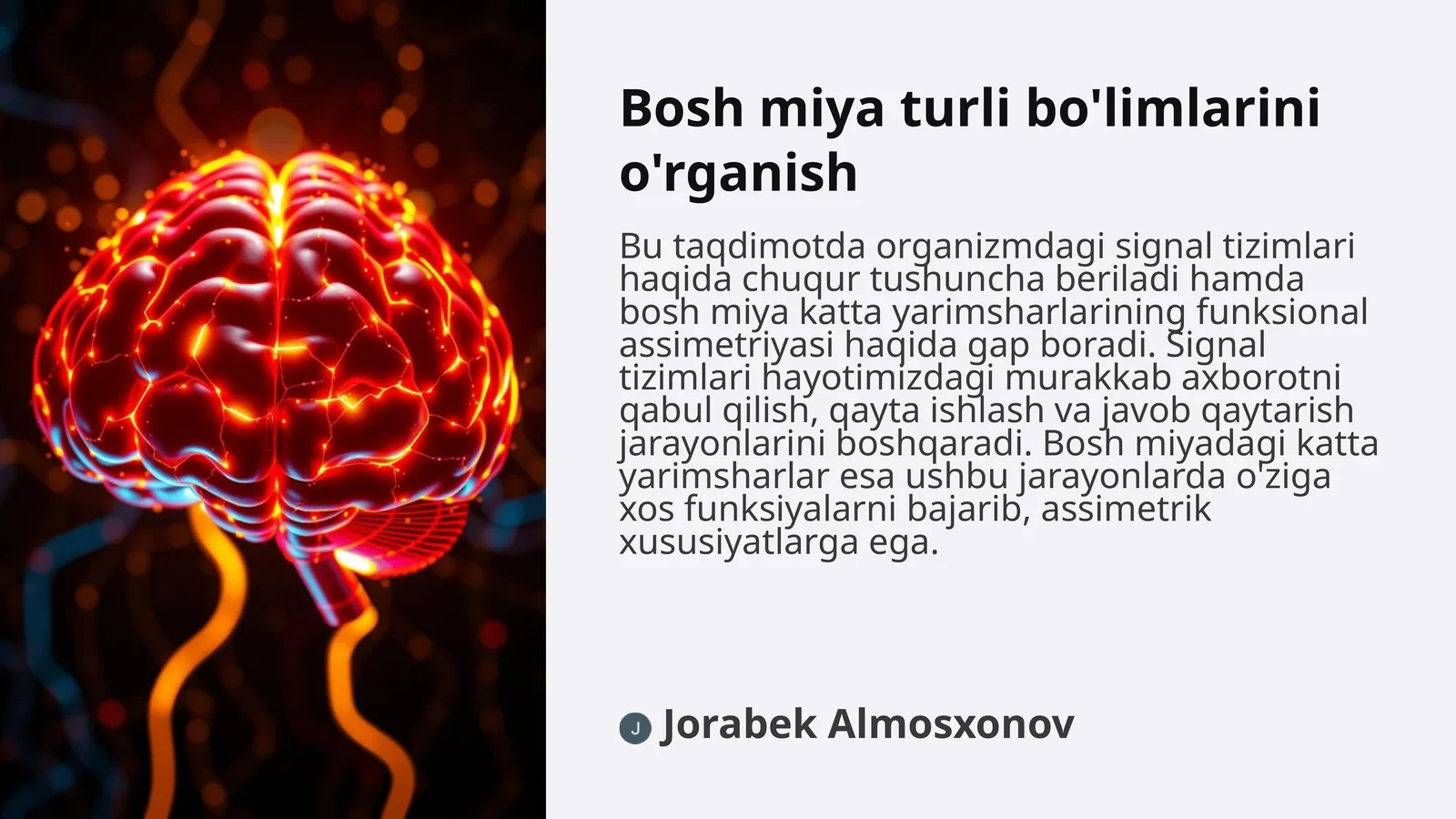 Bosh miya turli bo'limlarini o'rganish