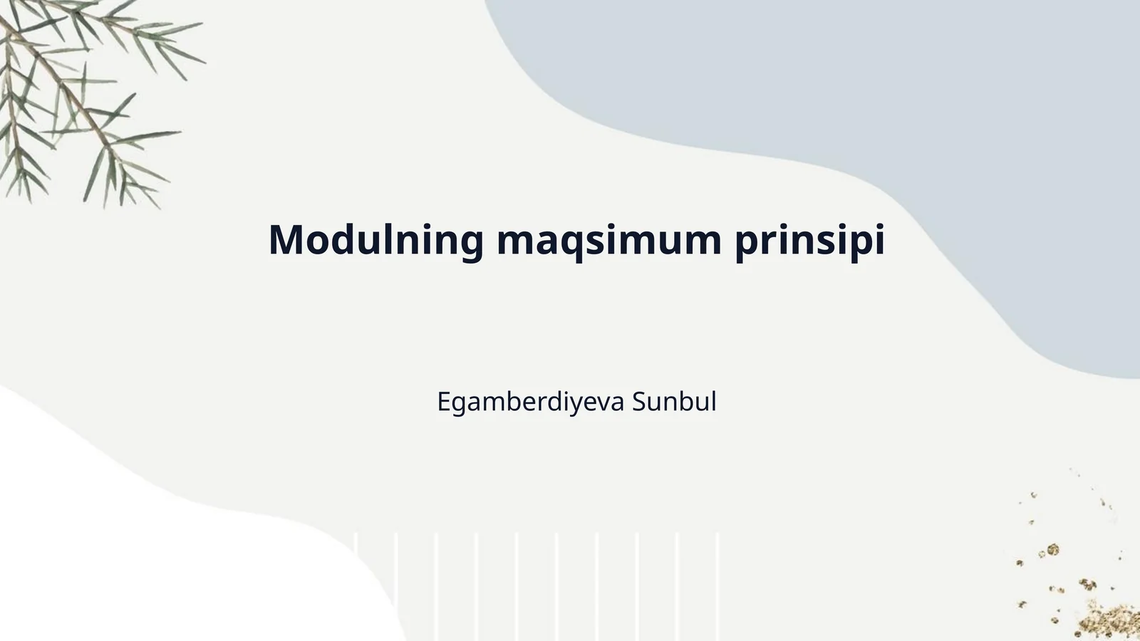 Modulning maqsimum prinsipi