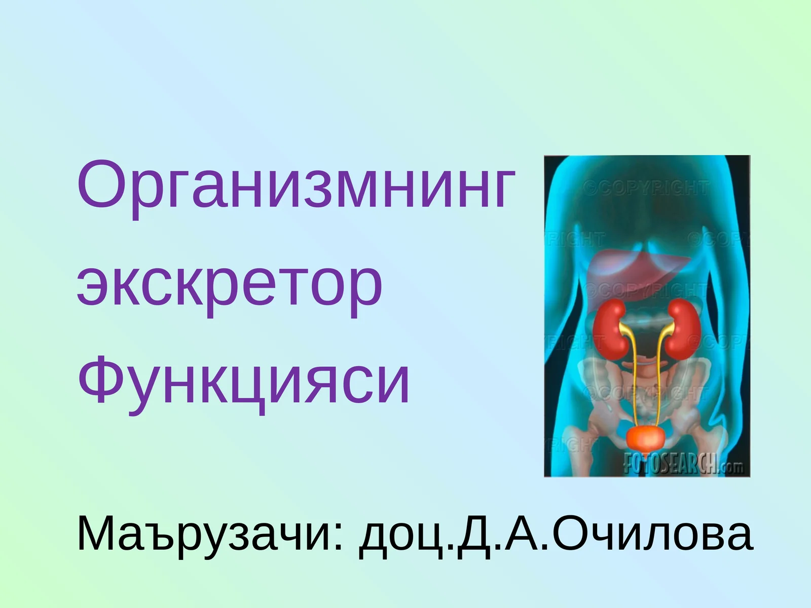 Экскретор функцияси