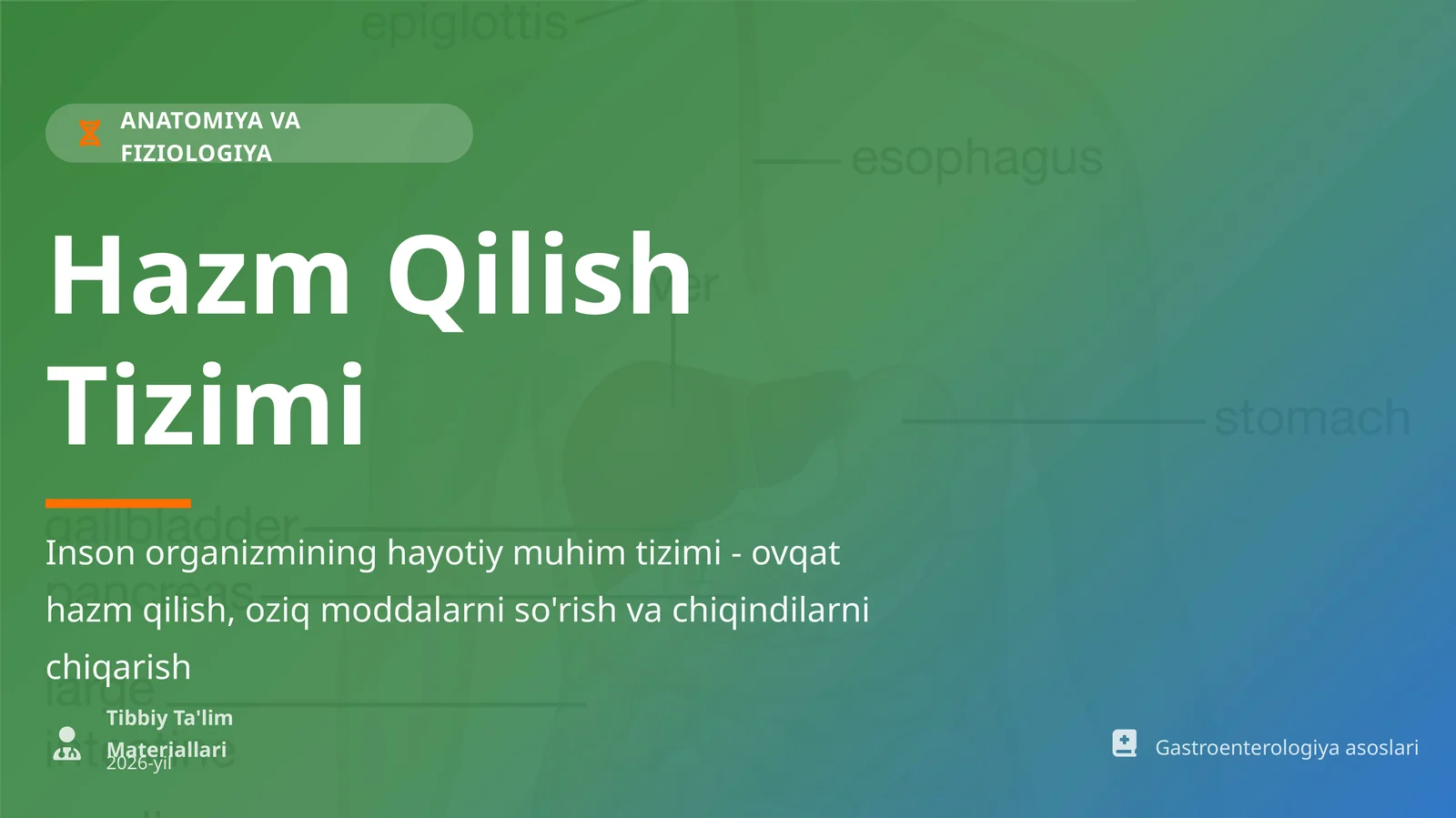 ANATOMIYA VA FIZIOLOGIYA Hazm Qilish Tizimi