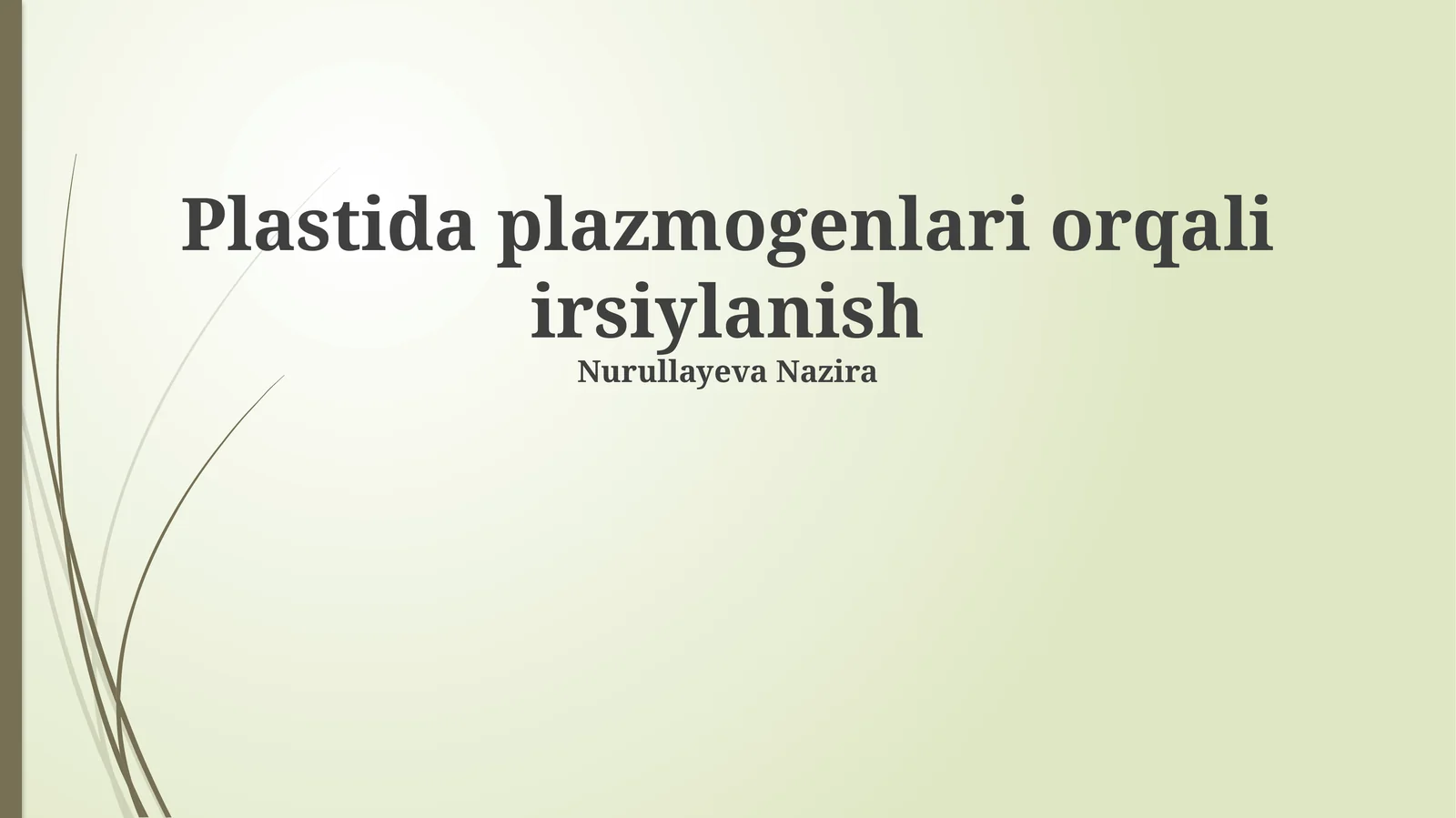 Plastida plazmogenlari orqali irsiylanish