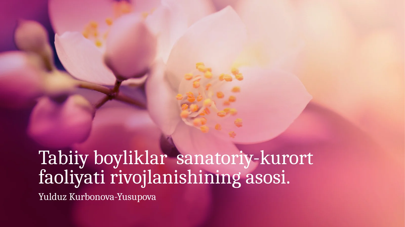 Tabiiy boyliklar sanatoriy-kurort faoliyati rivojlanishining asosi