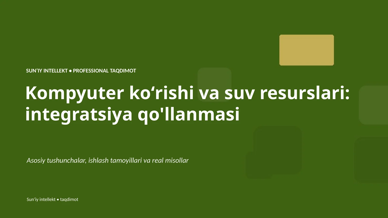 Kompyuter koʻrishi va suv resurslari: integratsiya qo'llanmasi