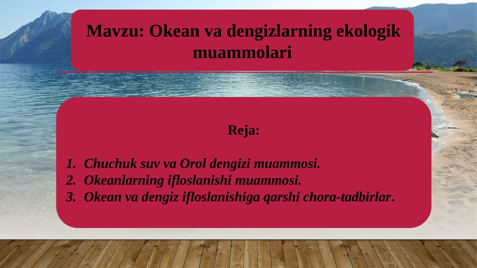 Okean va dengizlarning ekologik muammolari