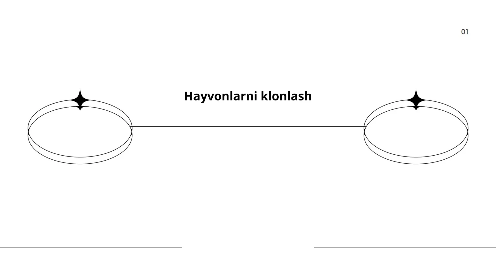 Hayvonlarni klonlash