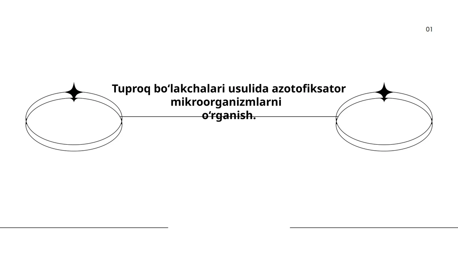 Tuproq bo‘lakchalari usulida azotofiksator mikroorganizmlarni o‘rganish