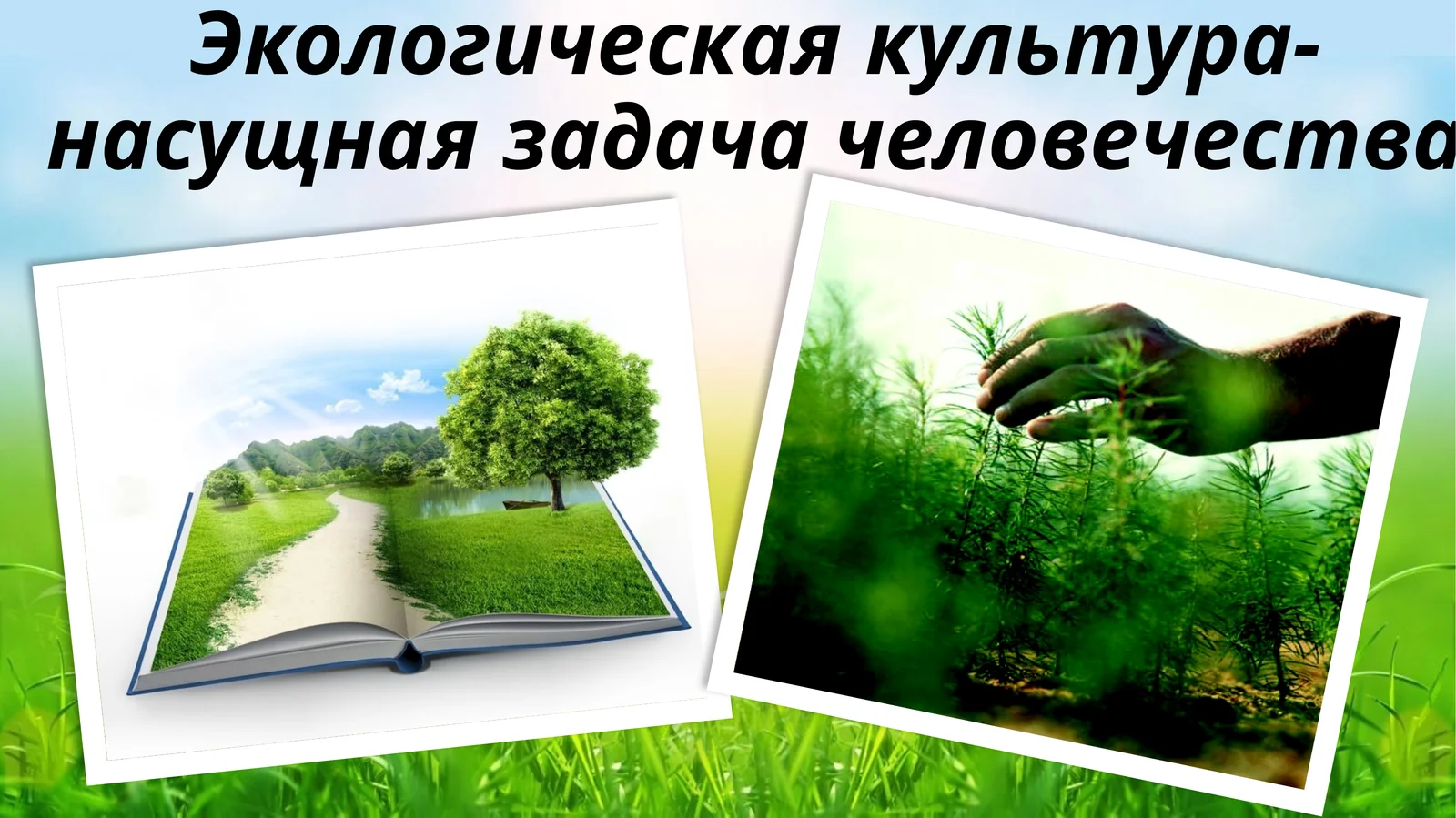 Экологическая культура- насущная задача человечества