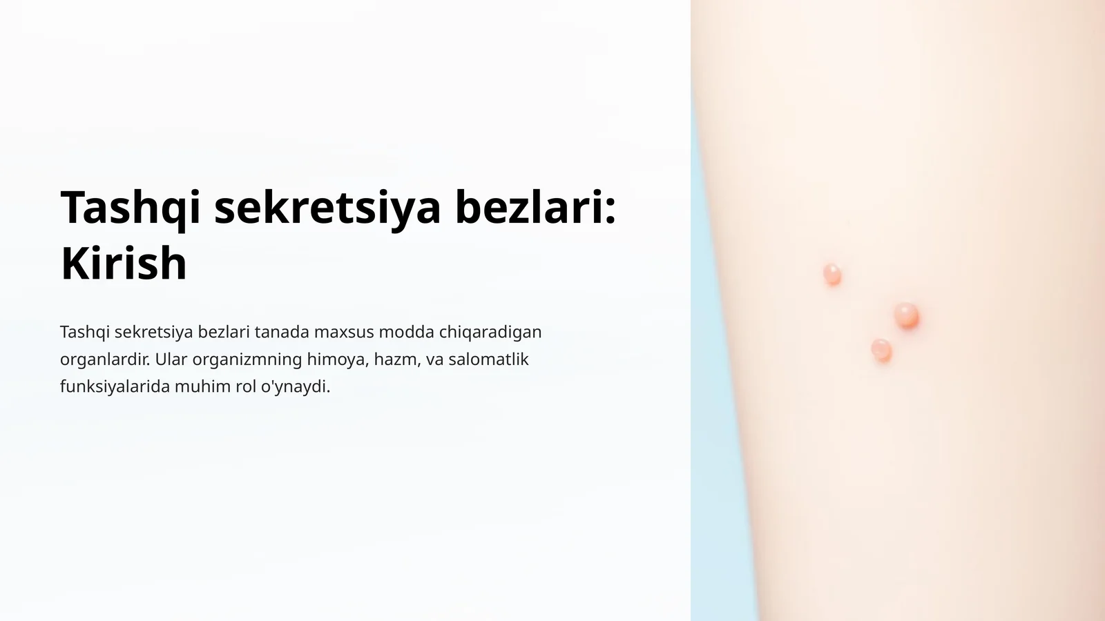 Tashqi sekretsiya bezlari: Kirish