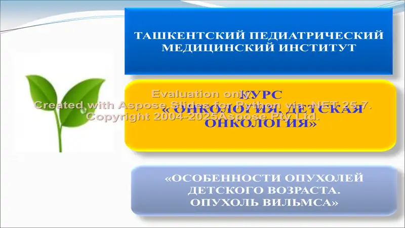 Опухоль Вильмса