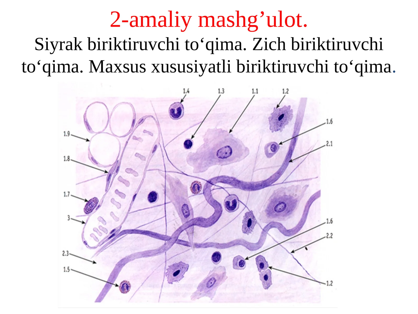 Siyrak biriktiruvchi to'qima