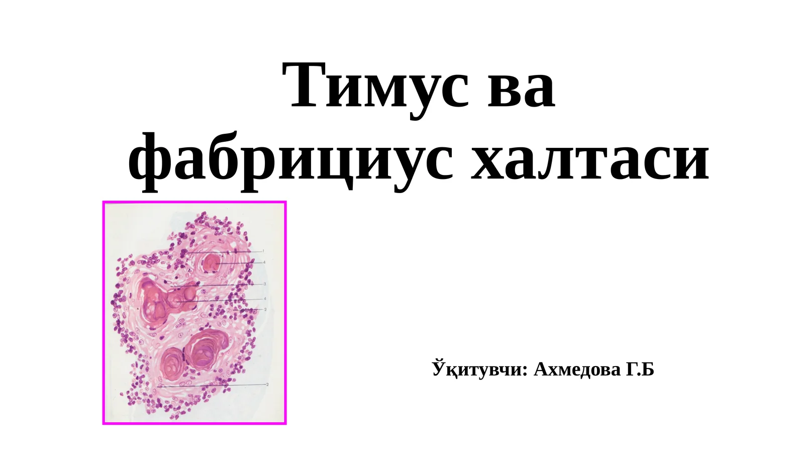 Тимус ва фабрицияси халтаси