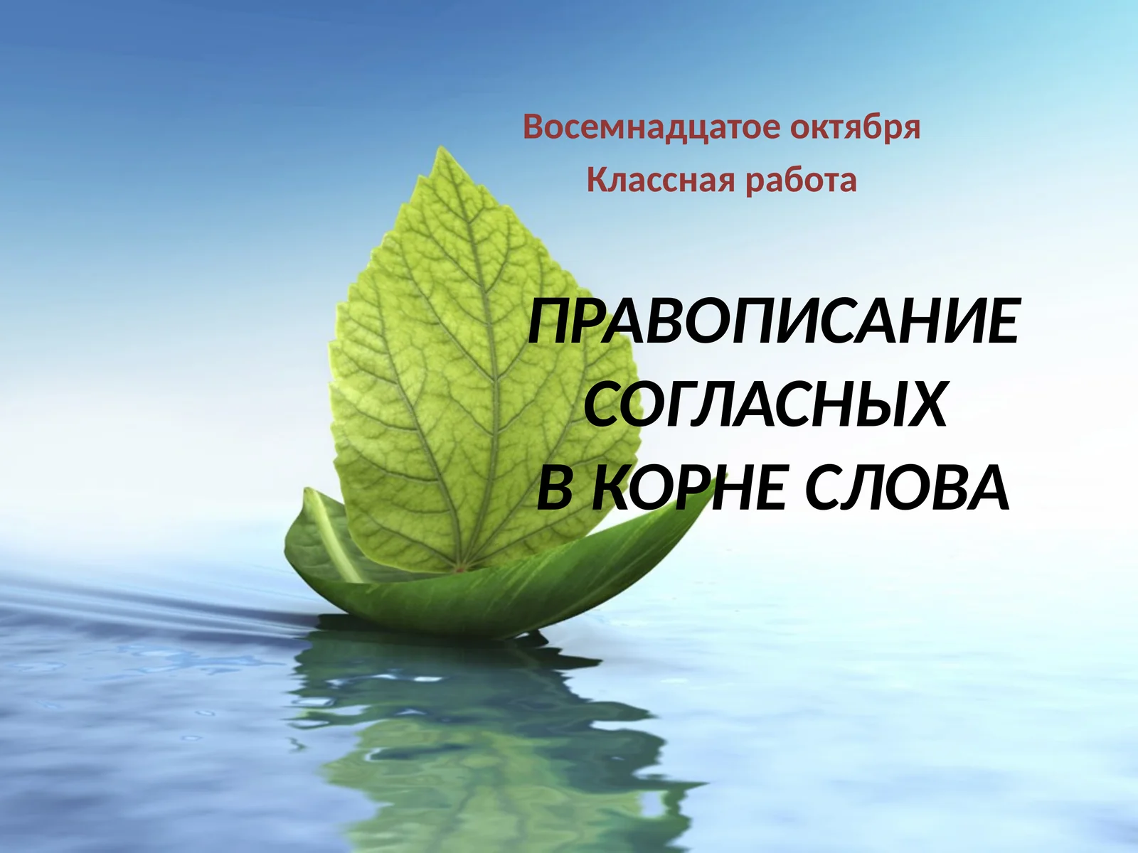 Правописание согласныхвкорне слова