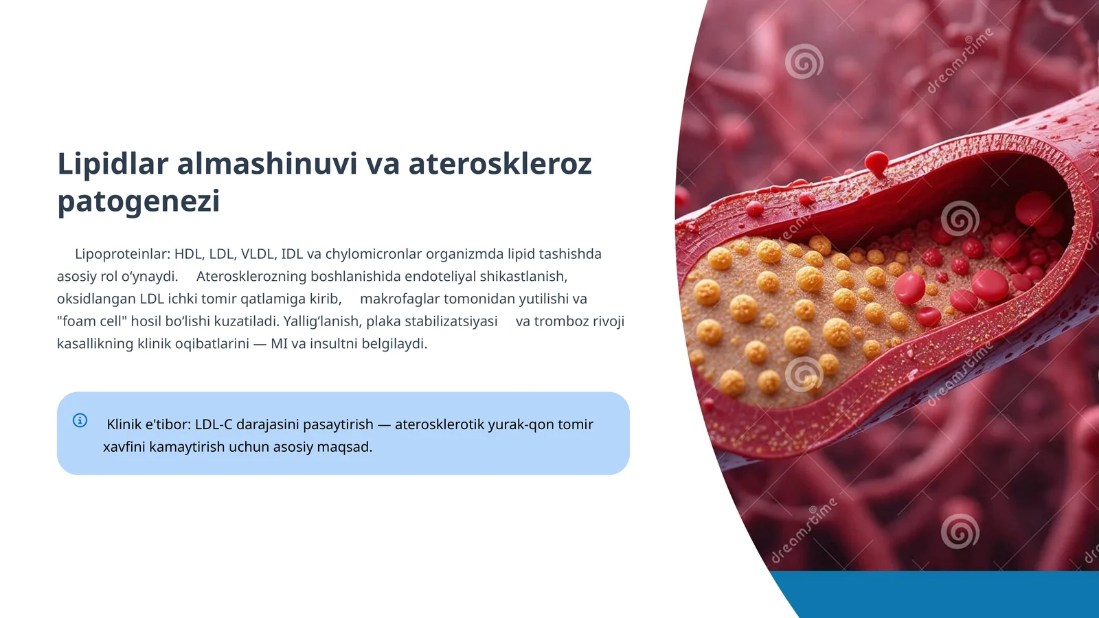 Gipolipidemik dori vositalarining klinik farmakologiyasi