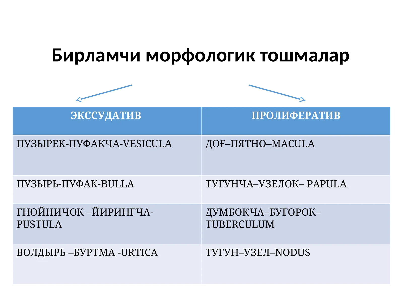 Доғ (macula)