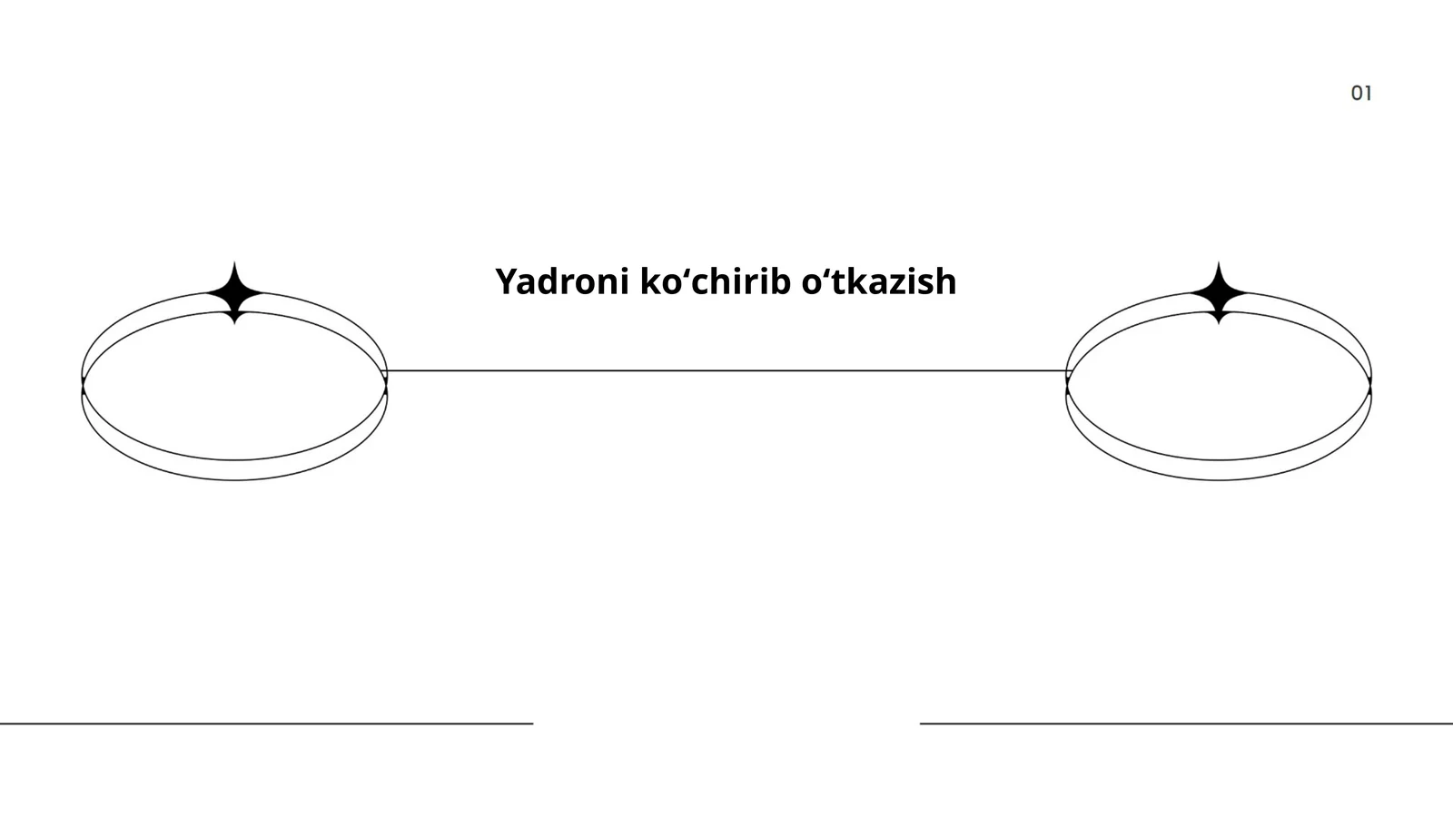 Yadroni replikatsiya jarayoni