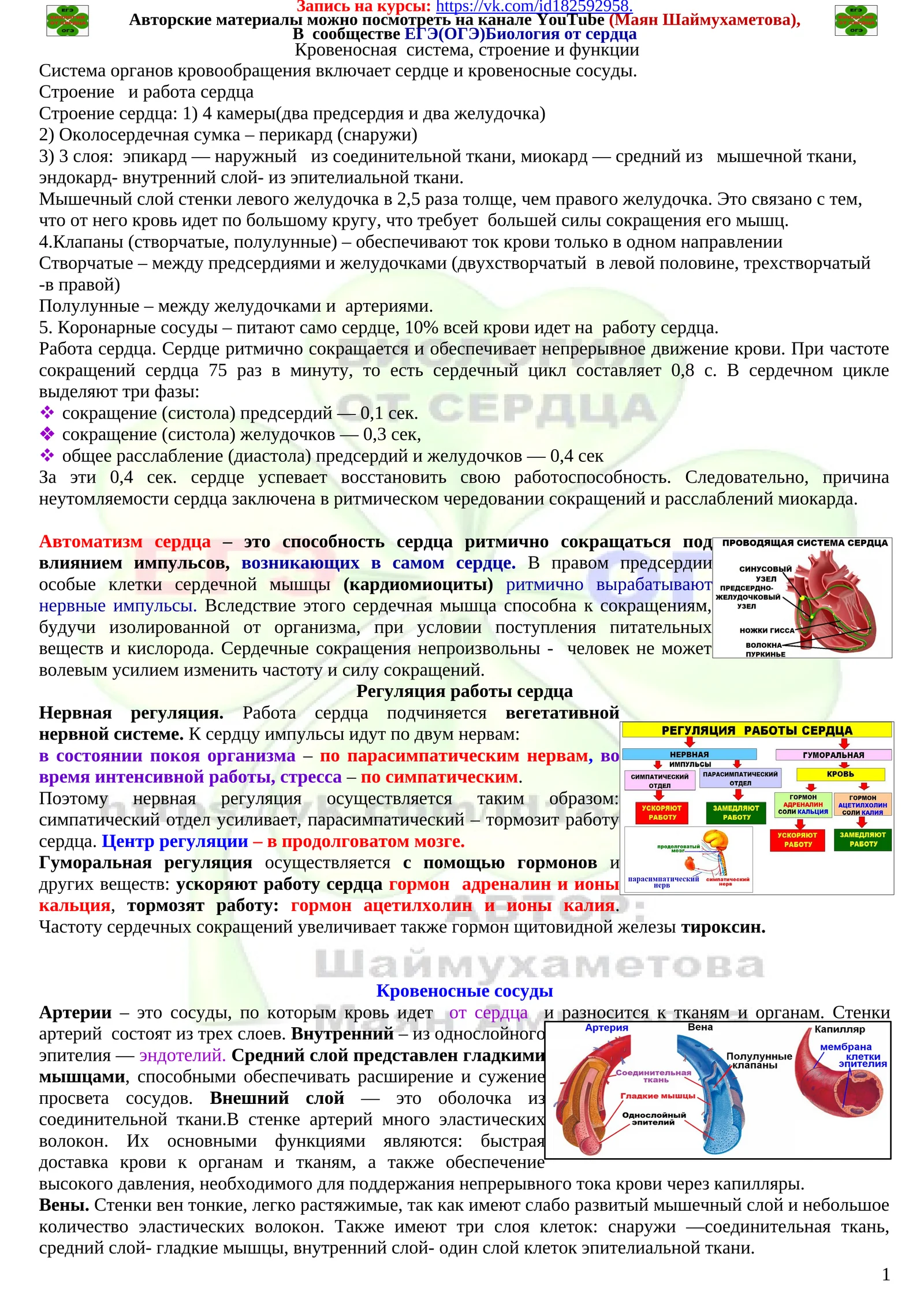 Система органов кровообращения