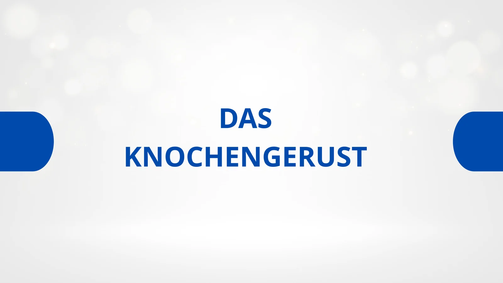 DAS KNOCHENGERUST