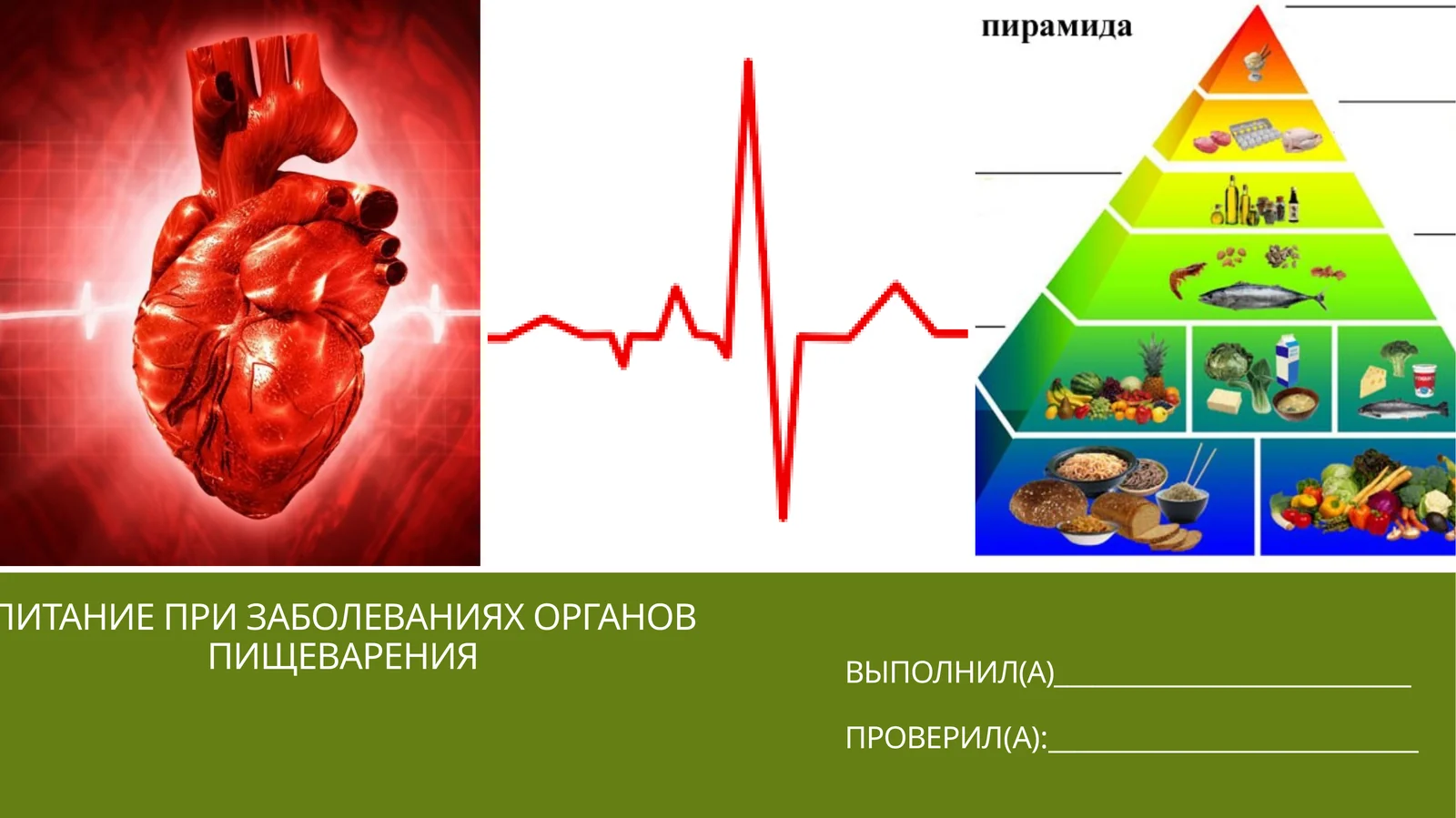 ПИТАНИЕ ПРИ ЗАБОЛЕВАНИЯХ ОРГАНОВ ПИЩЕВАРЕНИЯ