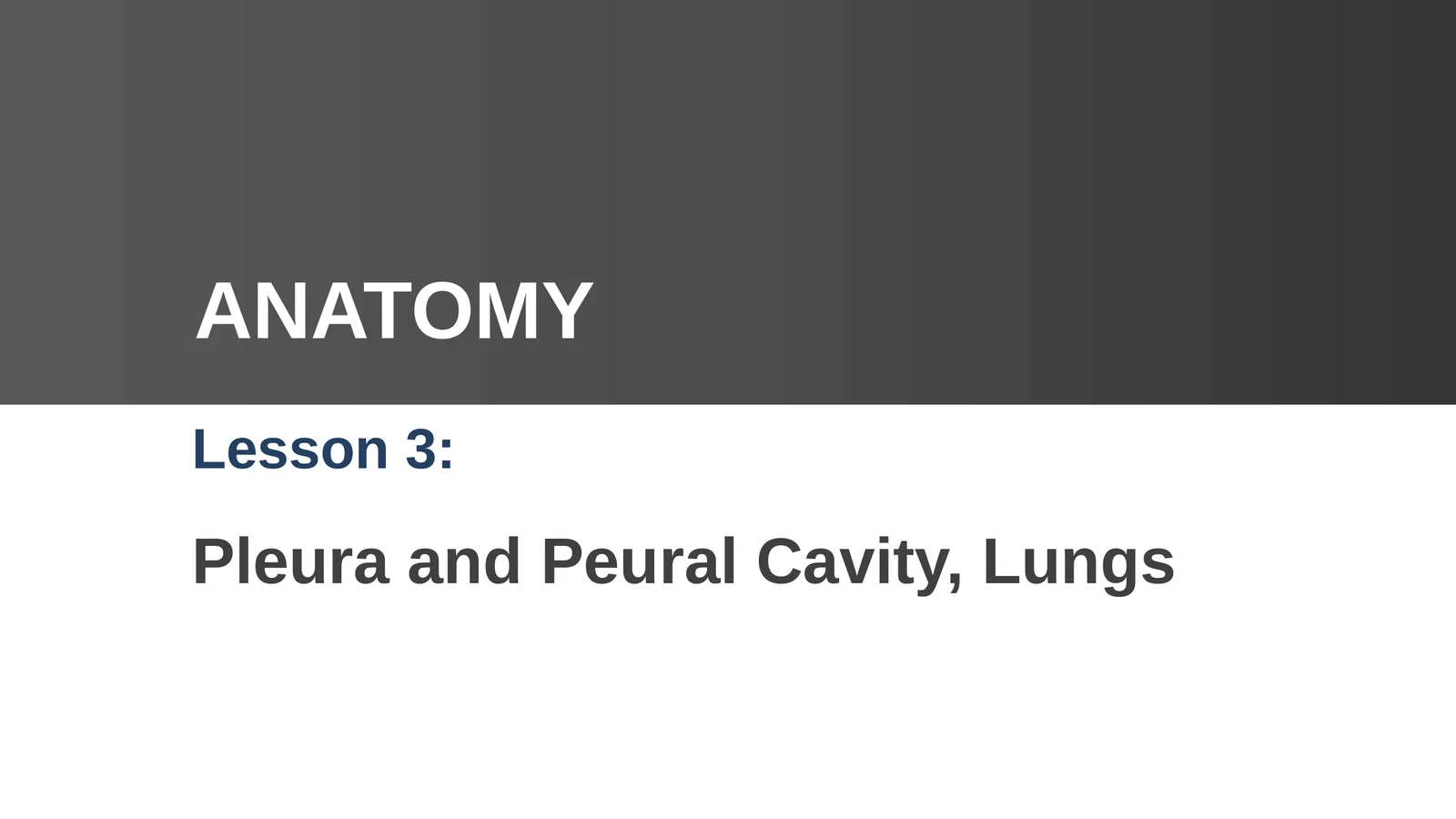 Pleura and Peural Cavity, Lungs