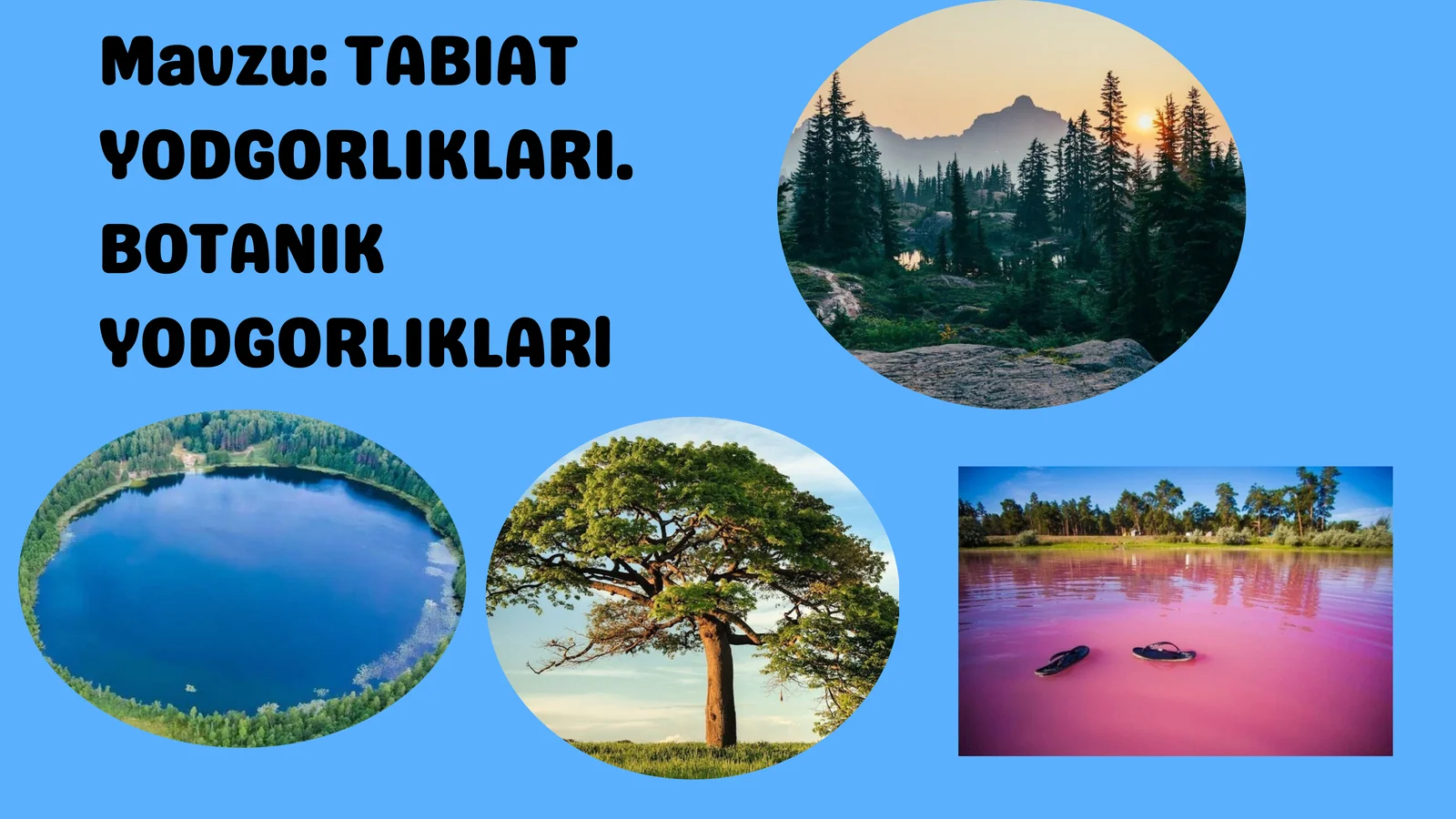 TABIAT YODGORLIKLARI. BOTANIK YODGORLIKLARl