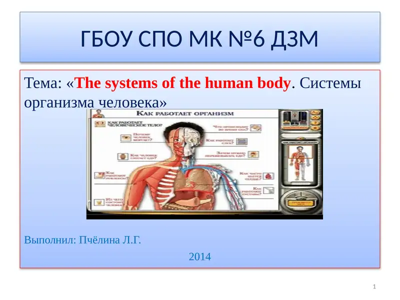 The systems of the human body.Системы организма человека