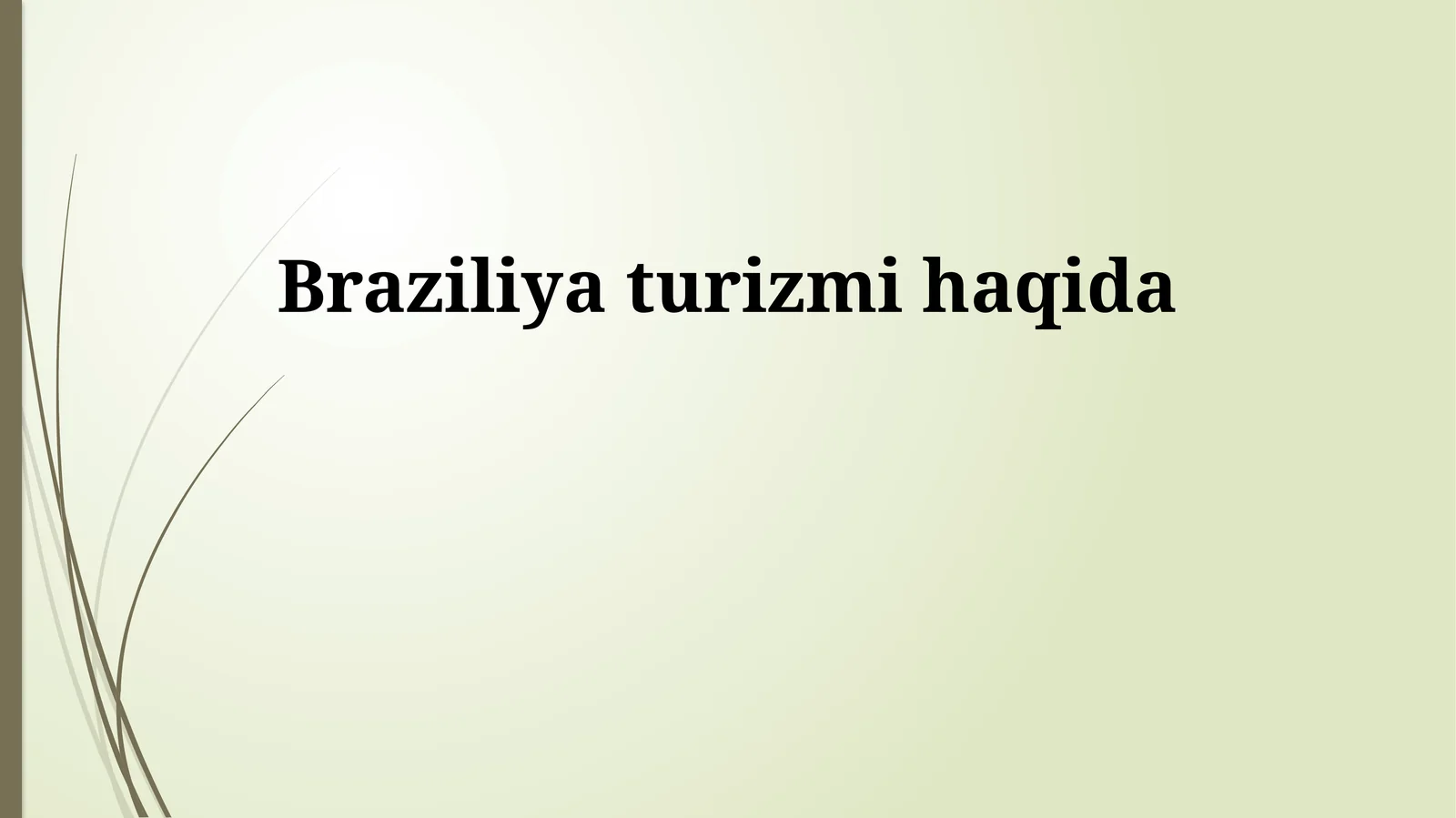 Braziliya turizmi haqida