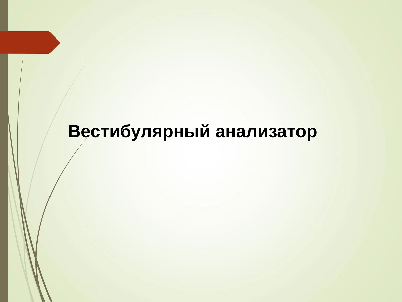 Вестибулярный анализатор