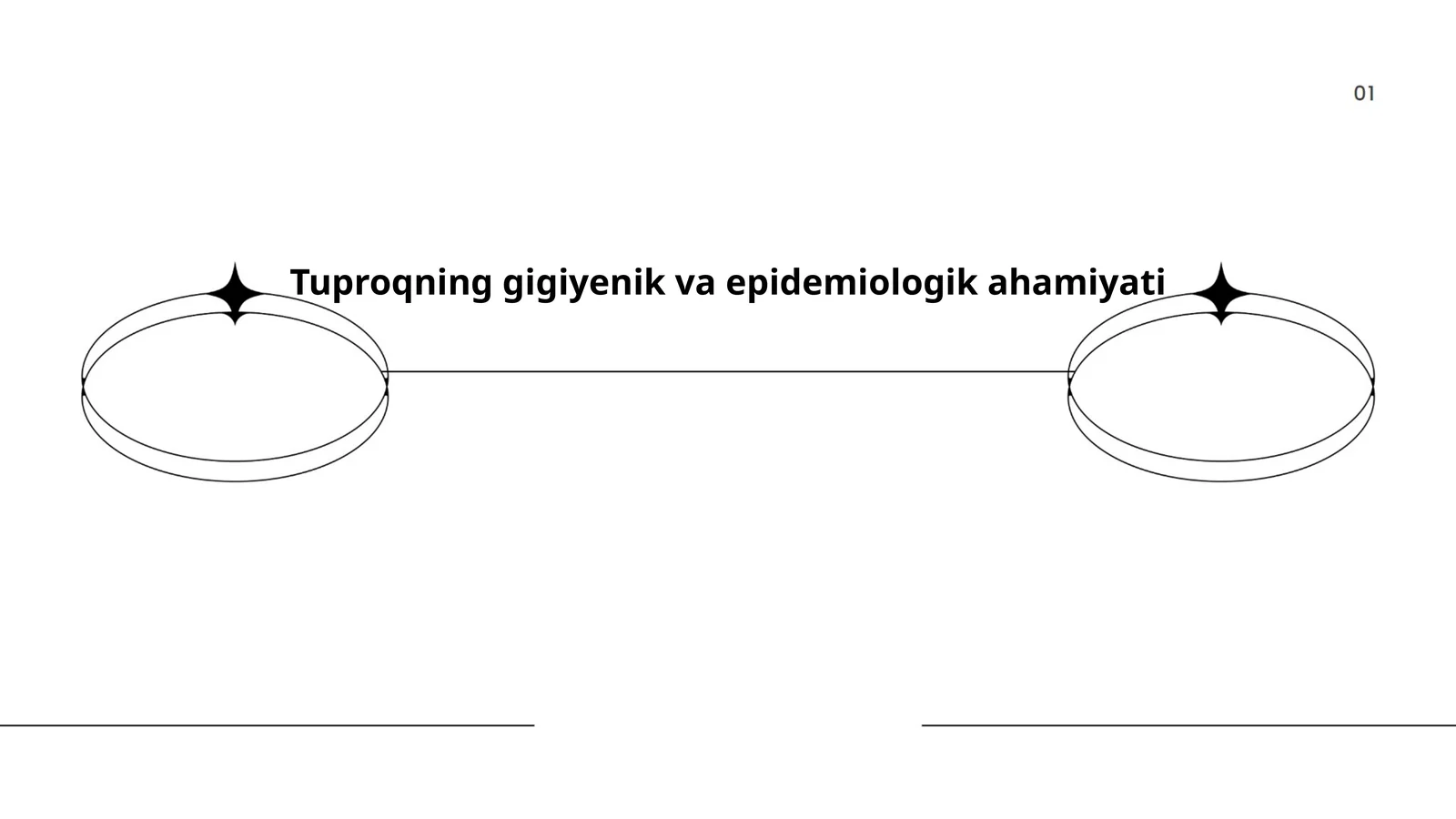 Tuproqning gigiyenik va epidemiologik ahamiyati