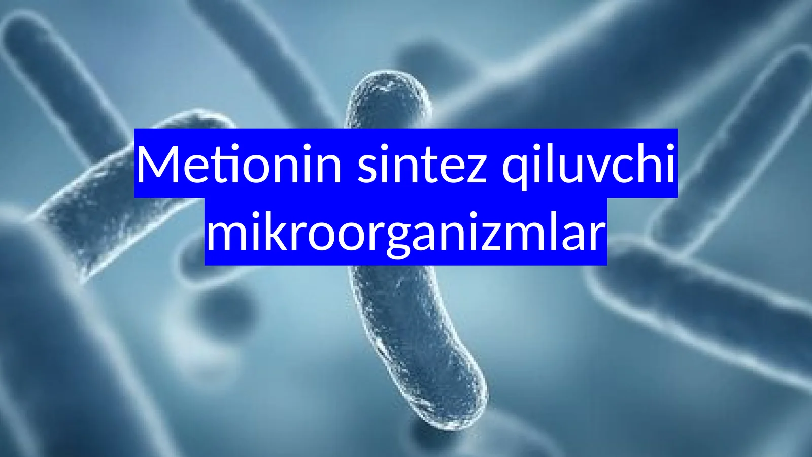 Metionin sintez qiluvchi mikroorganizmlar