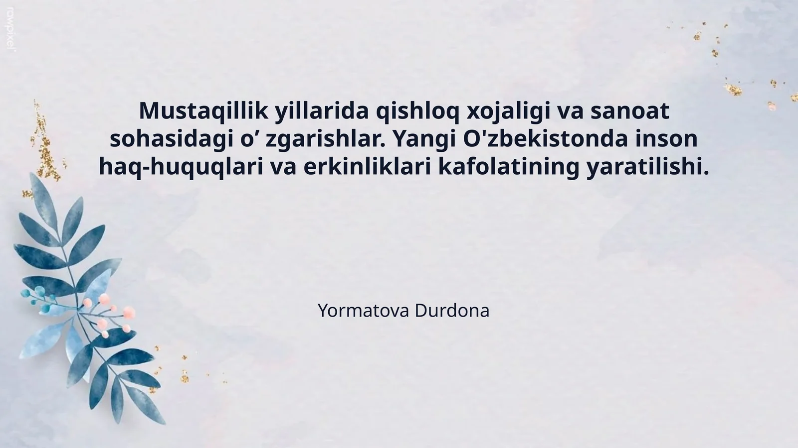 Mustaqillik yillarida qishloq xojaligi va sanoat sohasidagi oʼ zgarishlar. Yangi O'zbekistonda inson haq-huquqlari va erkinliklari kafolatining yaratilishi.